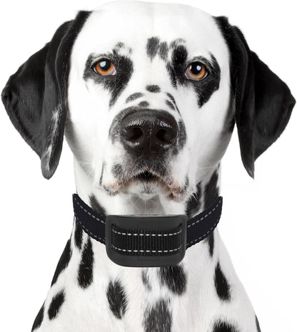 Dog Training Clicker Kit # 1 - 6 X Dog Training Clickers, 1 X Basic Training Clicker Book, 5 X Dog Training E-Books