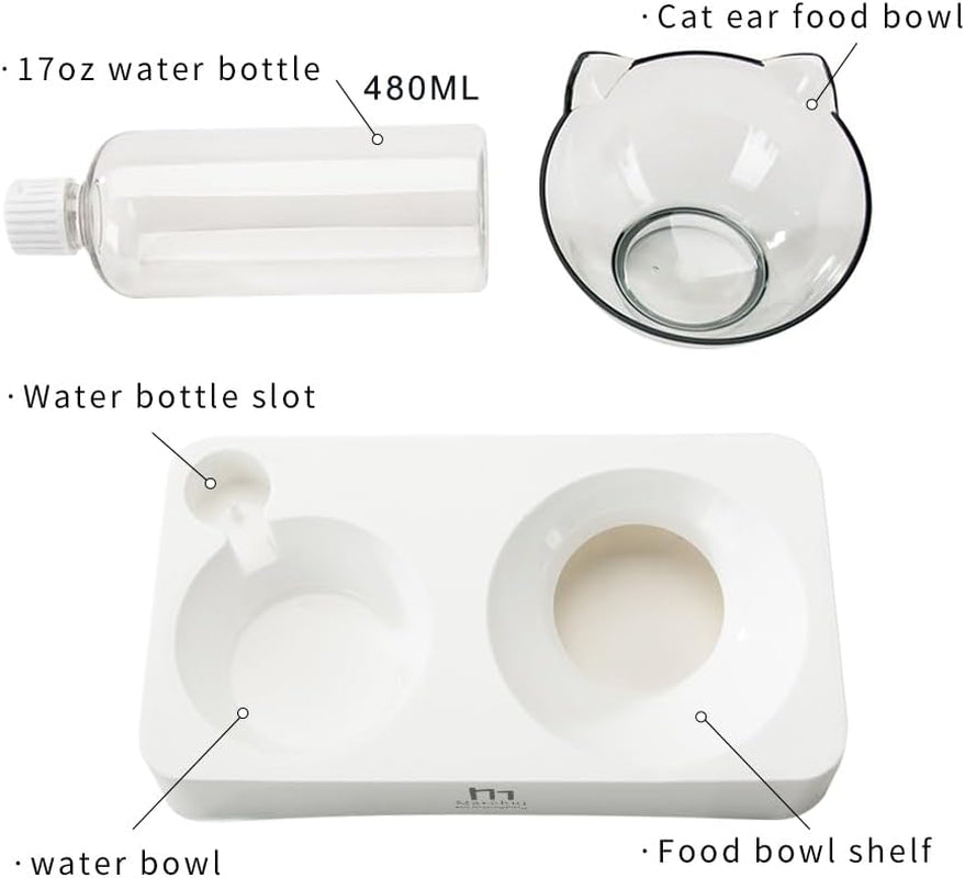 Double Elevated Dog Cat Bowl, Pets Water and Food Bowl Set, 15° Raised Tilted Dishes Indoor for Kitten, Puppies, Small or Medium Size Dogs Cats