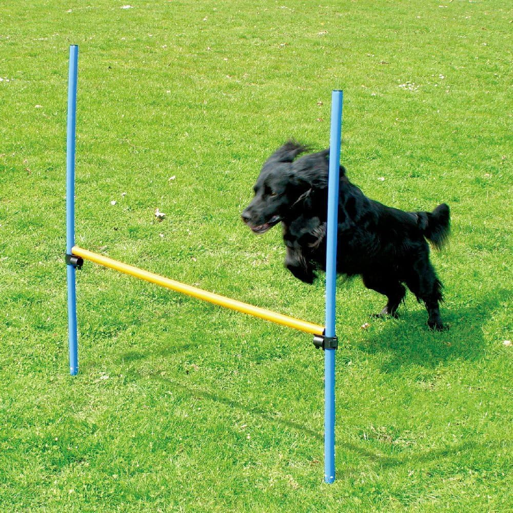 Dog Training Exercise Equipment, Dog Agility Training Equipment, Jump Training Hurdles Equipment,Playground Equipment Outdoor