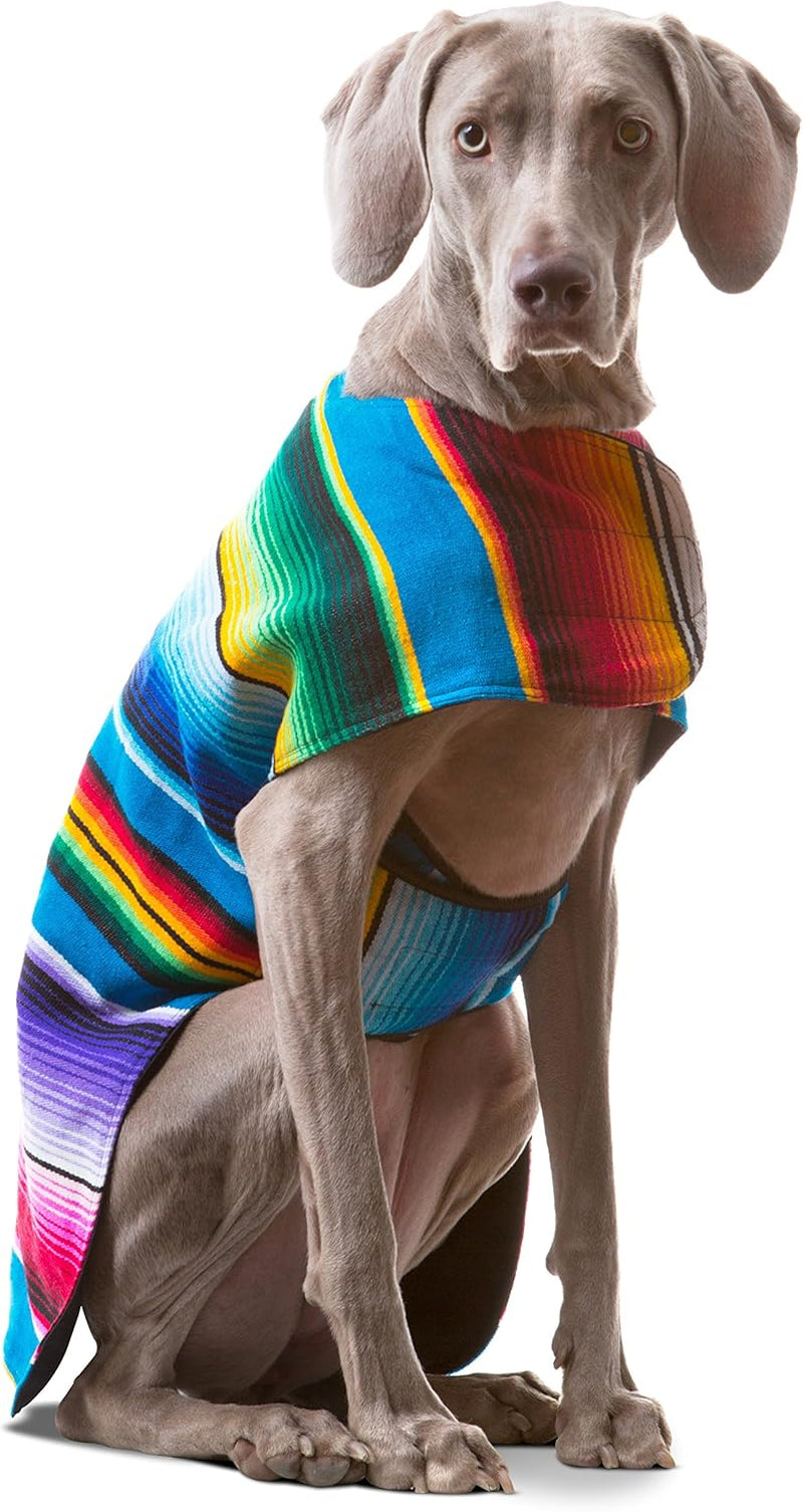 Handmade Dog Poncho from Authentic Mexican Blanket - Dog Clothes – Chihuahua Coat - Costume - Sweater - Vest (Multi Color, XXS)