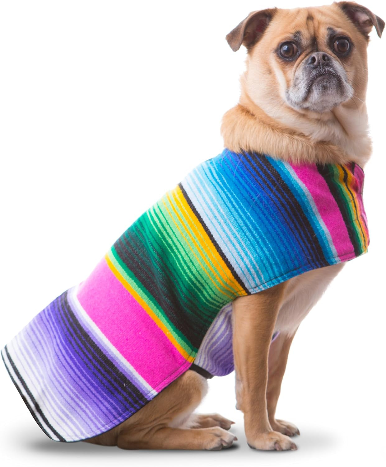 Handmade Dog Poncho from Authentic Mexican Blanket - Dog Clothes – Chihuahua Coat - Costume - Sweater - Vest (Multi Color, XXS)