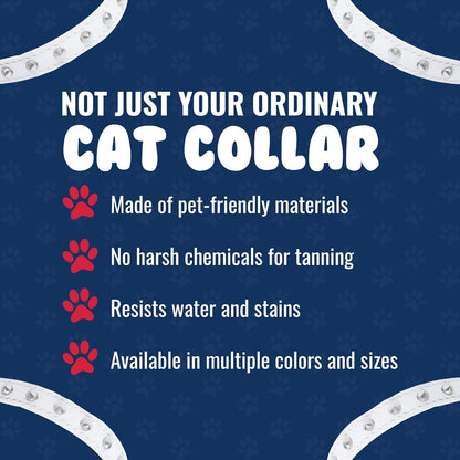 Studded Cat Collar, Genuine Leather Kitten Collar, Sturdy Breakaway Cat Collar with Bell and Elastic Stretch, Cat Accessories, Ivory White, 10 X 1/2 Inches -