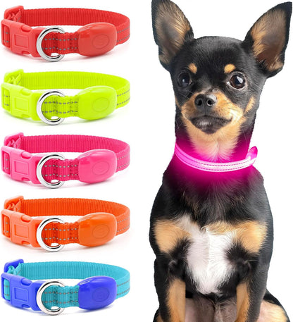 Light up Dog Collar - Reflective LED Puppy Collar Rechargeable Glow in the Dark Cat Collar High Visibility Safety Dog Lights for Night Walking (XS, Red)