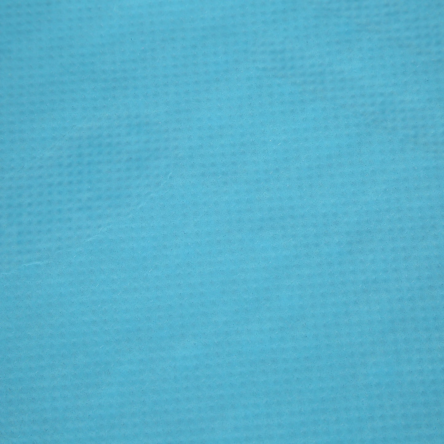 Blue Cat Shaped Litter Trapper Keeper Mat 23.5" X 17.5"