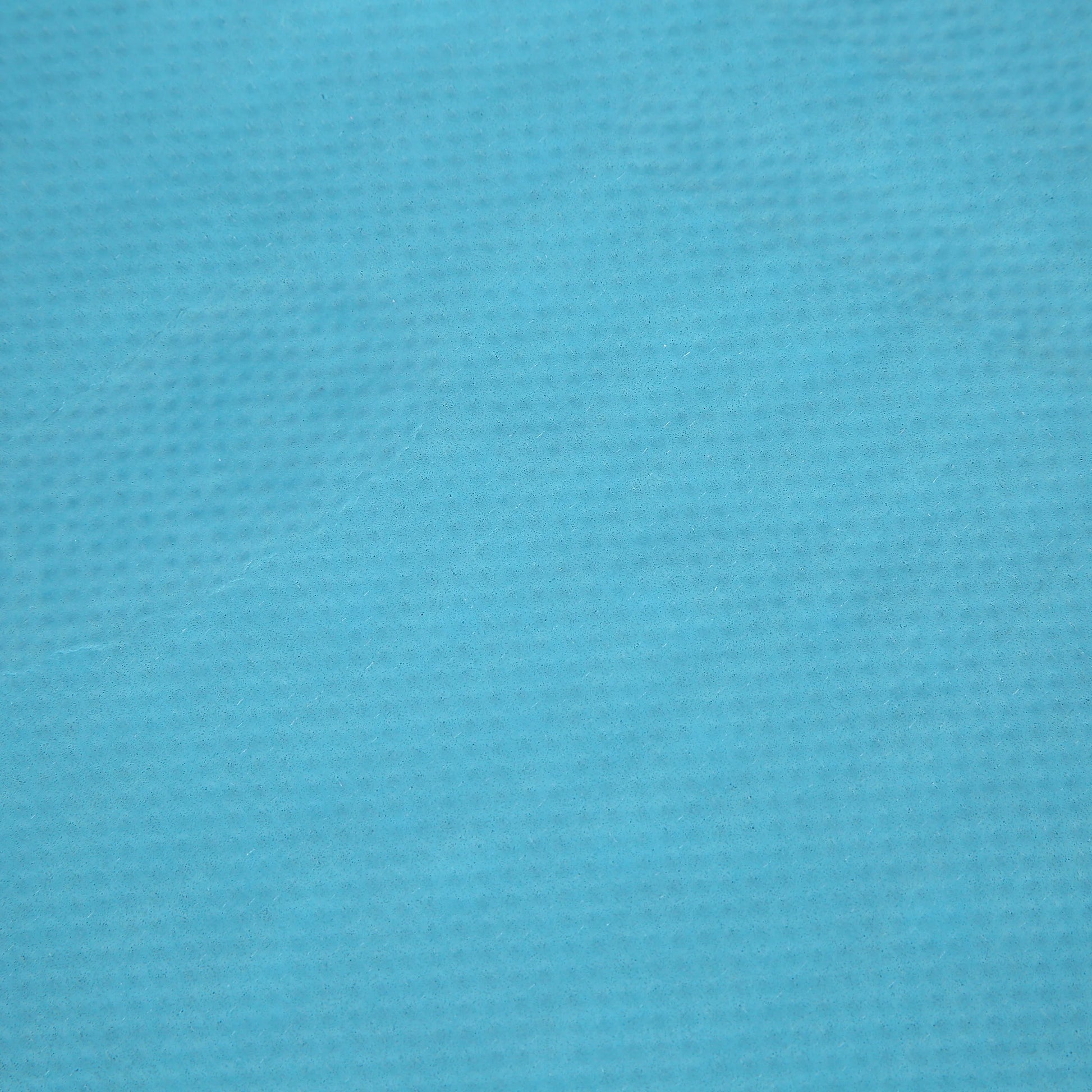 Blue Cat Shaped Litter Trapper Keeper Mat 23.5" X 17.5"