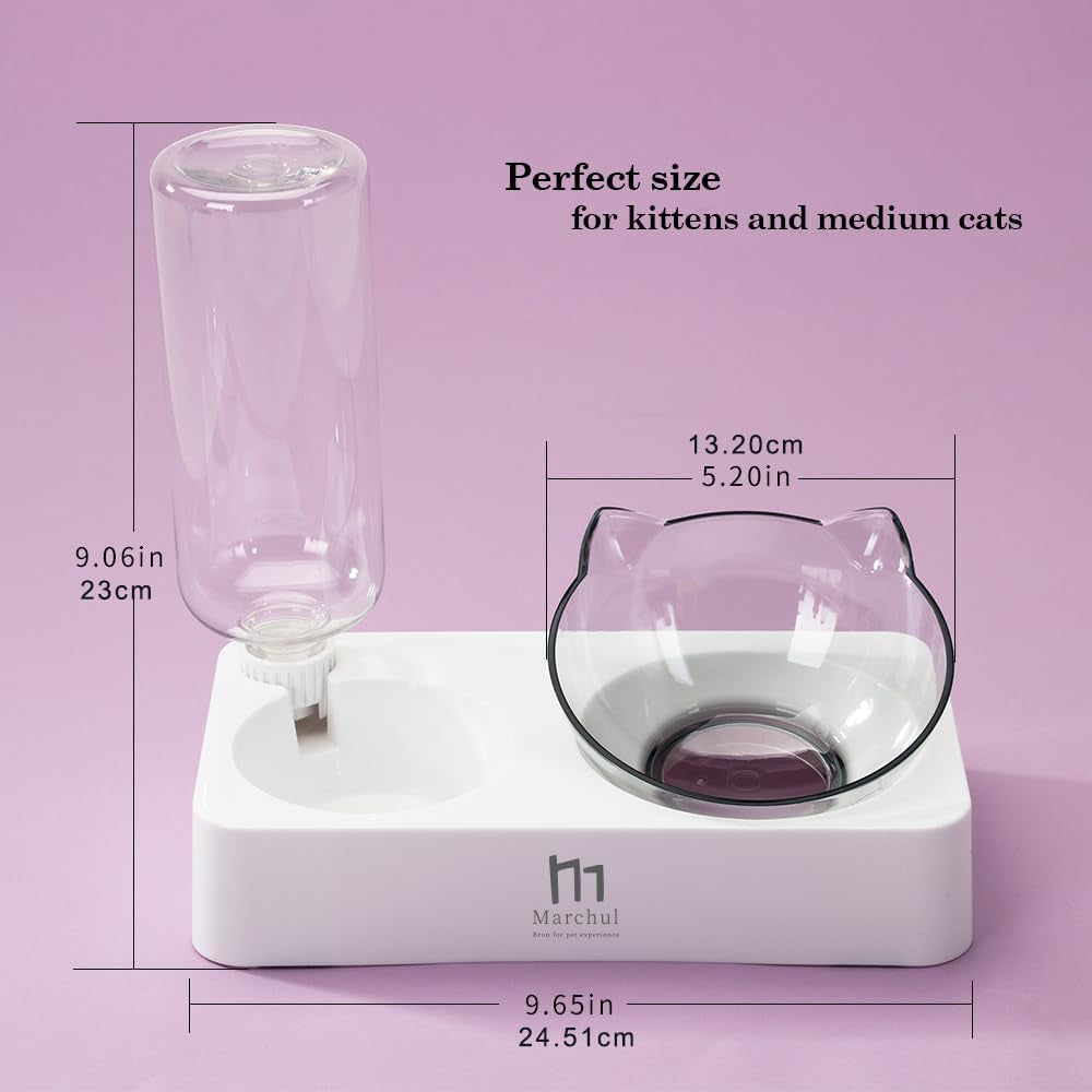 Double Elevated Dog Cat Bowl, Pets Water and Food Bowl Set, 15° Raised Tilted Dishes Indoor for Kitten, Puppies, Small or Medium Size Dogs Cats