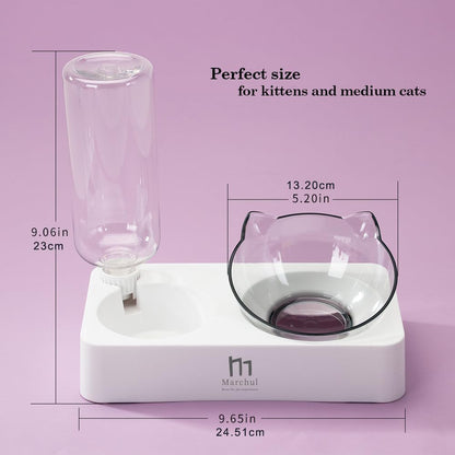 Double Elevated Dog Cat Bowl, Pets Water and Food Bowl Set, 15° Raised Tilted Dishes Indoor for Kitten, Puppies, Small or Medium Size Dogs Cats