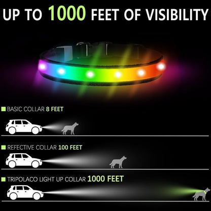 Light up Dog Collar - Multicolor LED Dog Collar with 3 Glow Modes, Rechargeable Glow in the Dark Dog Collars for Small, Medium & Large Dogs, 1000 Ft Visibility, IPX7 Waterproof (Black, S)