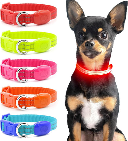 Light up Dog Collar - Reflective LED Puppy Collar Rechargeable Glow in the Dark Cat Collar High Visibility Safety Dog Lights for Night Walking (XS, Red)