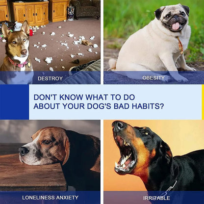 Dog Training Exercise Equipment, Dog Agility Training Equipment, Jump Training Hurdles Equipment,Playground Equipment Outdoor