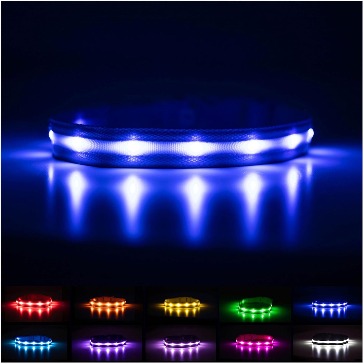 Light up Dog Collar - the Original LED Dog Collar - USB Rechargeable - Waterproof - 1,000 Feet of Visibility - Dog Collar Light for Small, Medium, Large Dogs - USA Brand