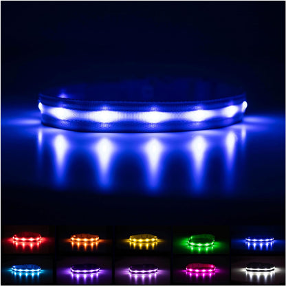 Light up Dog Collar - the Original LED Dog Collar - USB Rechargeable - Waterproof - 1,000 Feet of Visibility - Dog Collar Light for Small, Medium, Large Dogs - USA Brand