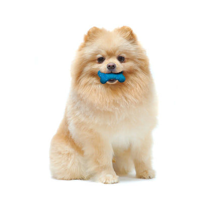 Moderate Chew Flexichew Bone Peanut Butter & Bacon Orange & Blue Xx-Small/Tiny - up to 8 Lbs. (2 Count)