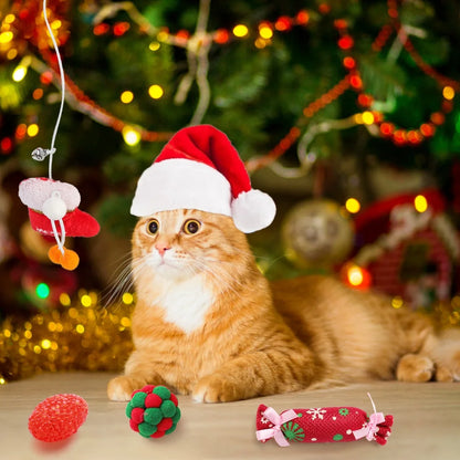 Interactive Christmas Cat Toy, Gift Set, Indoor, 18 Piece