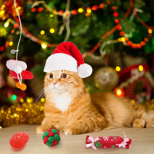 Interactive Christmas Cat Toy, Gift Set, Indoor, 18 Piece