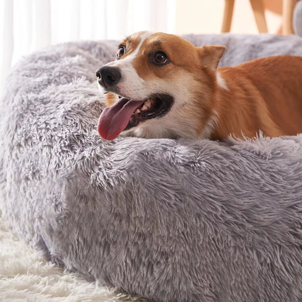 Rectangle Plush Dog Bed Cat Beds for Small Dogs,Washable Medium Pet Beds Medium（26X22X7In,Under 25 Lbs）, Lightgrey