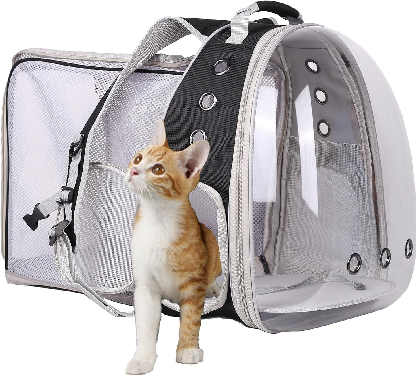 Cat Travel Backpack with Fan, Fit up to 12 Lbs, Space Capsule Astronaut Clear Bubble Window Pet Backpack for Kitten and Small Puppy Green