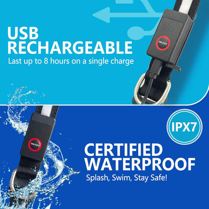 Light up Dog Collar - Multicolor LED Dog Collar with 3 Glow Modes, Rechargeable Glow in the Dark Dog Collars for Small, Medium & Large Dogs, 1000 Ft Visibility, IPX7 Waterproof (Black, S)