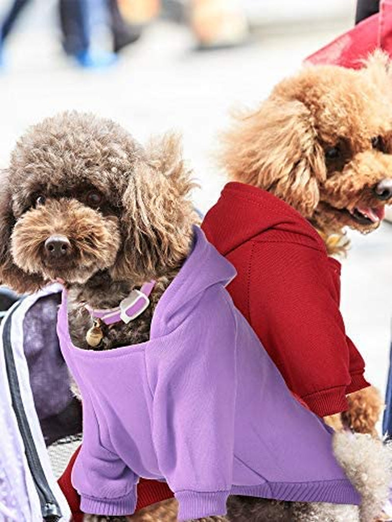 4-Piece Small Dog Sweater Set - Dog Hoodie Clothes with Hat for Small Dogs, Chihuahua, Winter Warm Hoodies & Coat with Pocket
