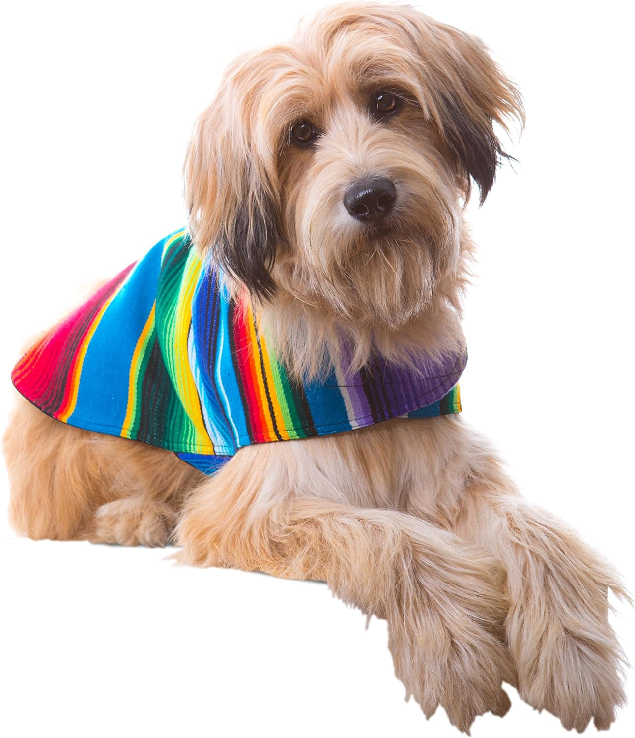 Handmade Dog Poncho from Authentic Mexican Blanket - Dog Clothes – Chihuahua Coat - Costume - Sweater - Vest (Multi Color, XXS)