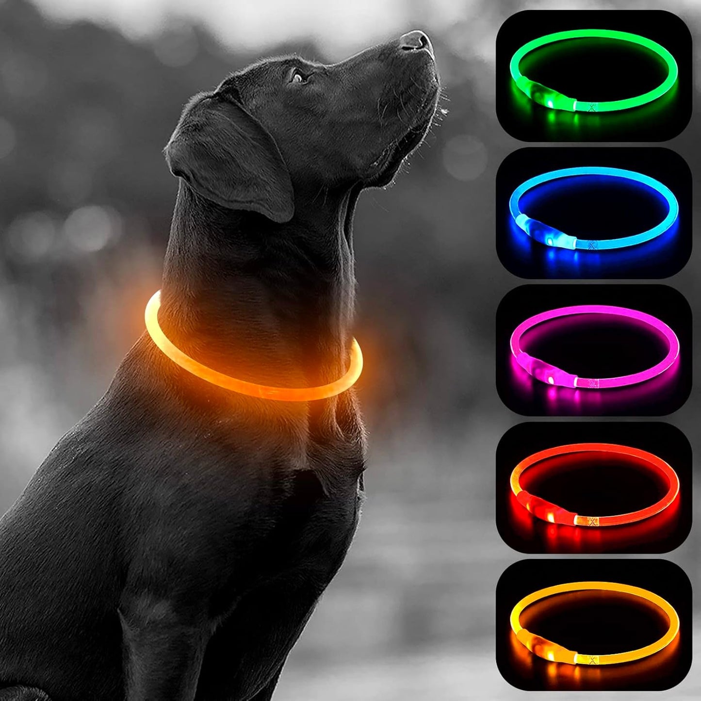 LED Dog Collar Light - USB Rechargeable Light up Dog Collars, DIY Flash LED Dog Necklace for Your Dogs Walking at Night (Red)