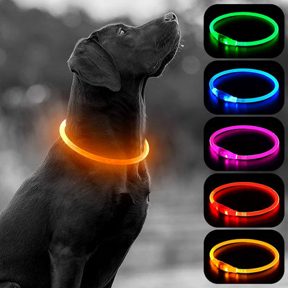 LED Dog Collar Light - USB Rechargeable Light up Dog Collars, DIY Flash LED Dog Necklace for Your Dogs Walking at Night (Red)