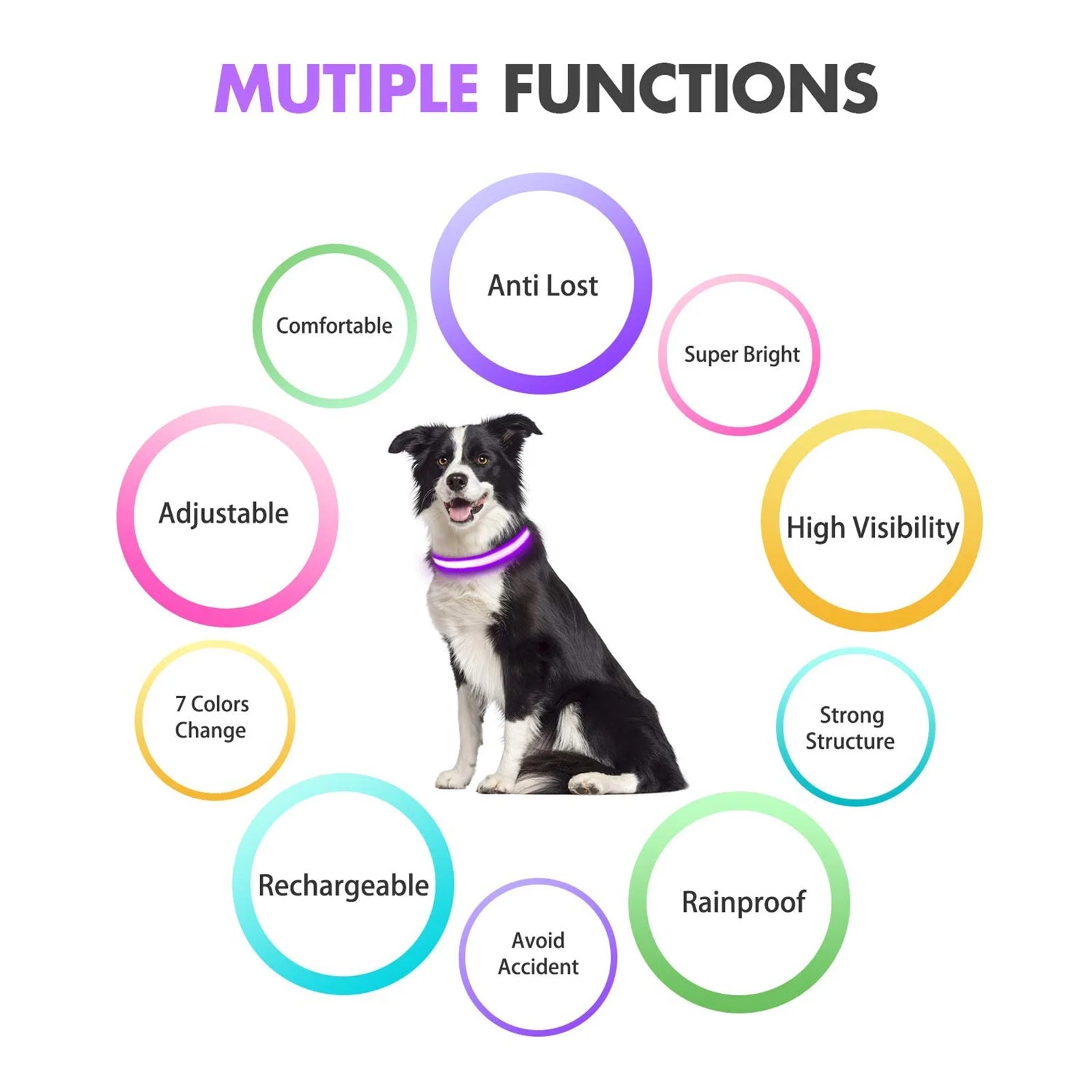 Light up LED Dog Collar, Waterproof Rechargeable for Night Walking RGB Colorful Adjustable Safety Dog Collar for Small Dogs (Purple)