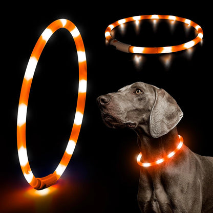 LED Dog Collar Light - USB Rechargeable Light up Dog Collars, DIY Flash LED Dog Necklace for Your Dogs Walking at Night (Red)