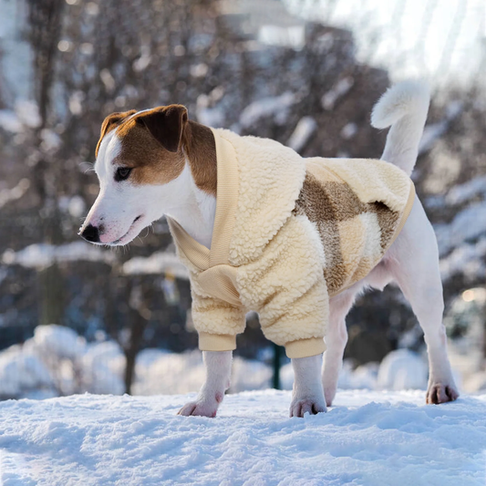 Warm Dog Coat Fleece Lining Dog Hoodie Cold Weather Dog Jacket Winter Pet Clothes for Small and Medium Dogs
