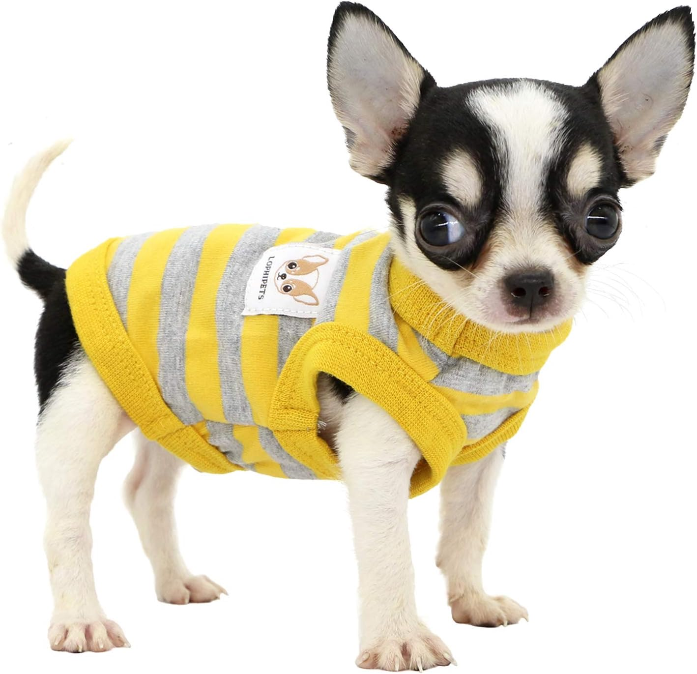 100% Cotton Striped Dog Shirts for Small Dogs Chihuahua Puppy Clothes Tank Vest-Black and Gray Strips/Xxs