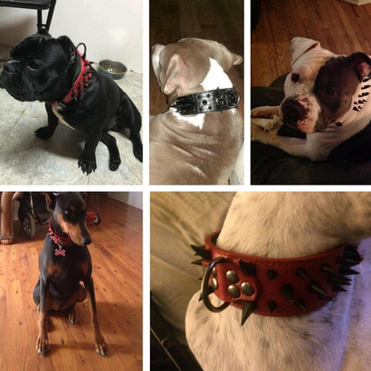 Sharp Spiked Studded Dog Collar - Stylish Leather Dog Collars - 2 Inch in Width Fit for Medium & Large Dogs - Such as Pitbull Mastiff - Black Rivets & Black Leather,19-22"