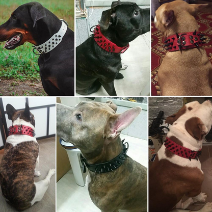 Sharp Spiked Studded Dog Collar - Stylish Leather Dog Collars - 2 Inch in Width Fit for Medium & Large Dogs - Such as Pitbull Mastiff - Black Rivets & Black Leather,19-22"