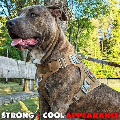 Pets Promax Tactical Dog Harness for Large Dogs – Military Grade, All-Metal Buckles Vest with Control Handle, No Plastic Componenets in Our Harness, Waterproof, No-Pull, No-Choke (Brown, L)